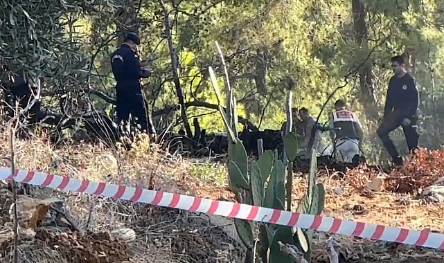 Antalya'da ormana düşen hava aracı yangına neden oldu - Yeniden