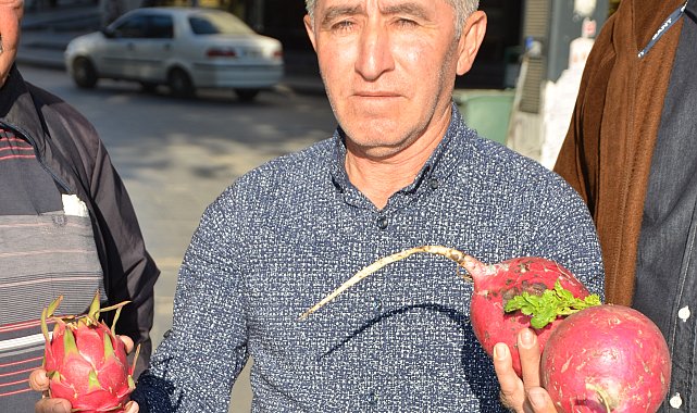 Hayranı olduğunu söylediği Trump başkan seçilince turp ve ejder meyvesi dağıttı