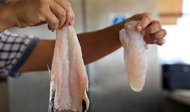 Mezgitin kilosu 750 lirayı buldu; yarı fiyatına 'zehir' uyarısı