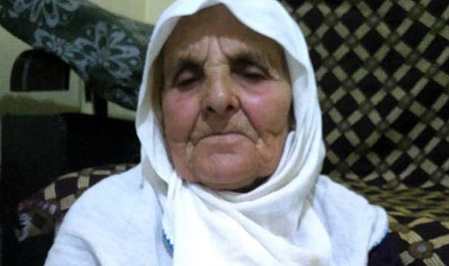 Saldırdıkları kadını öldüren köpeklerin sahibine 4 yıl 5 ay hapis