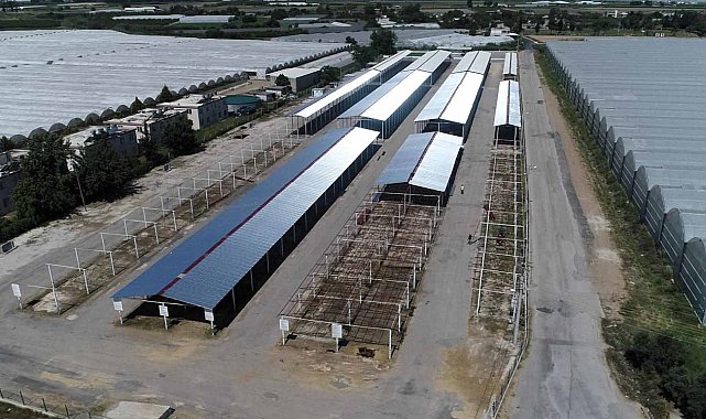 Başkan Kumbul: Kurban satış alanlarında konforlu bir ortam oluşturuyoruz