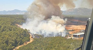 Antalya'da orman yangını