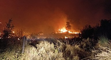 Orman yangını 5 saatte kontrol altına alındı