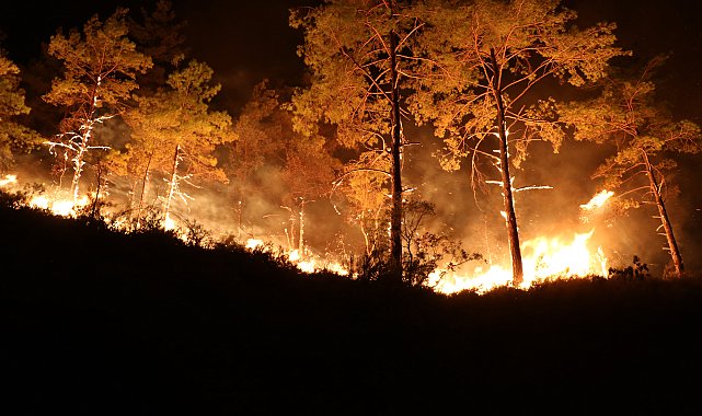 Alanya'daki orman yangınında 3'üncü gün