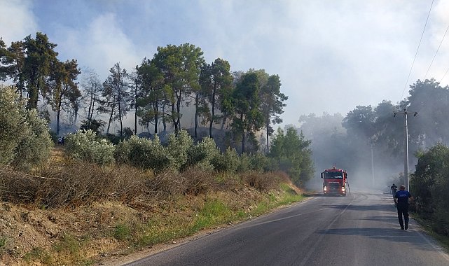Antalya'da orman yangını