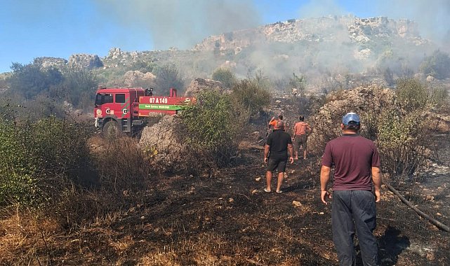 Serik'te makilik ve zeytinlik yangını