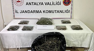 Alanya'da 800 gram esrar ele geçirildi