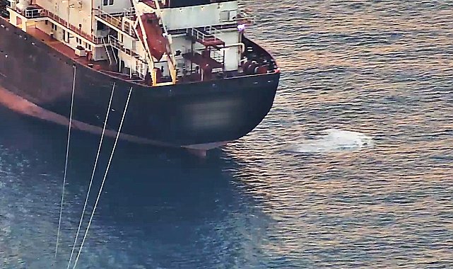 Antalya'da 'deniz çöpleri' seferberliği