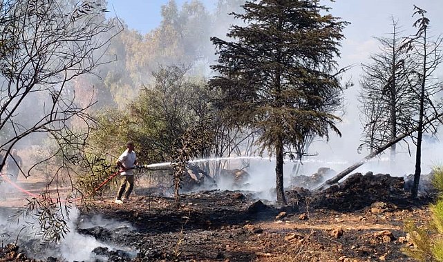 Otluk alanda çıkan yangın söndürüldü