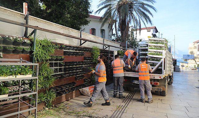 Antalya'da 4 milyon çiçek toprakla buluşuyor