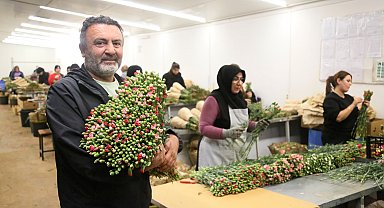 Avrupa ülkelerine 12 milyon dolarlık yılbaşı çiçeği