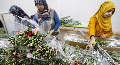 Çiçekte 10 aylık ihracat rekoru