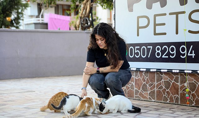 Kedinin bastonla vurularak öldürüldüğü iddiasıyla şikayetçi oldu