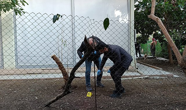 Alacak verecek tartışmasında 1 yaralı