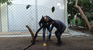 Alacak verecek tartışmasında 1 yaralı
