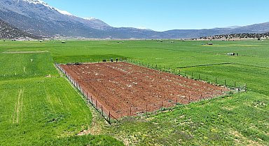 Büyükşehir'den tarımsal sulamaya büyük destek