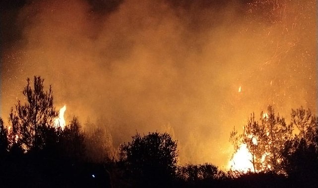 Antalya'da orman yangını