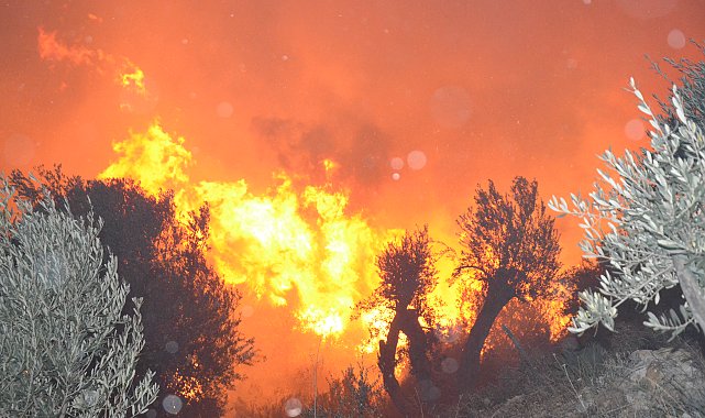 Antalya'da orman yangını