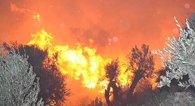 Antalya'da orman yangını