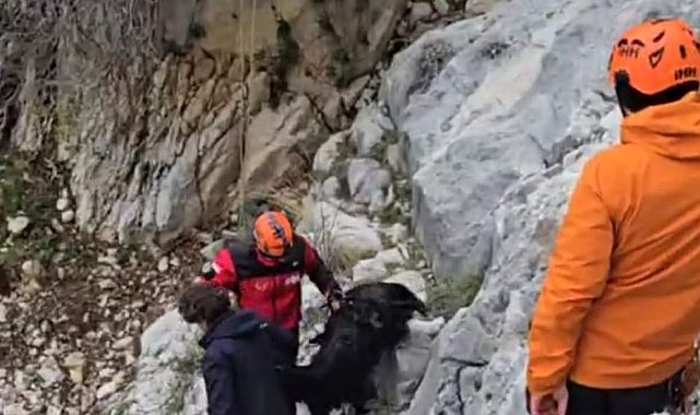 Serik'te dağlık alanda keçi kurtarma operasyonu