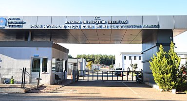 Sokak Hayvanları Geçici Bakımevi can dostlara yeni yuva yolu oluyor