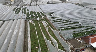 Yağmur ve hortum, sebze-meyveyi vurdu