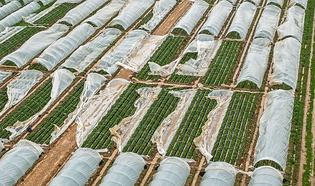 Antalya'da fırtına, hortum ve sel felaketinin faturası 3 milyar TL