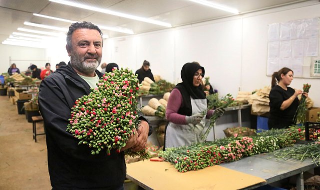 Antalya'dan 'Sevgililer Günü' için Avrupa'ya 75 milyon dal çiçek
