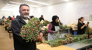 Antalya'dan 'Sevgililer Günü' için Avrupa'ya 75 milyon dal çiçek