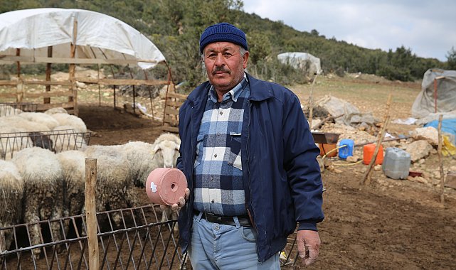 Büyükşehir Çoban Haritası Projesi ile 508 çobana destek oldu