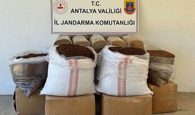 Gazipaşa'da kaçak tütün operasyonu