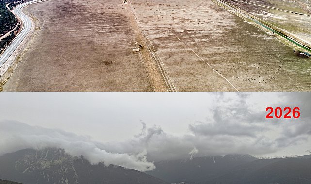 Hayvanların otladığı Avlan Gölü'nde su sevinci