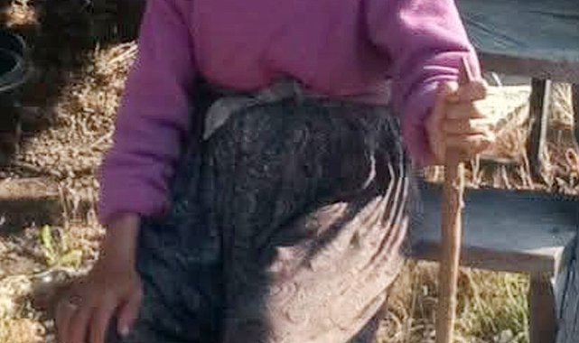 Hayvanlarını otlatmaya gidip kayboldu