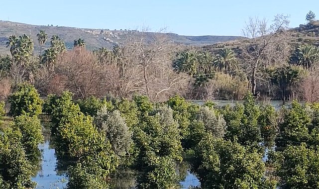Irmak taştı, şantiye ile narenciye bahçelerini su bastı
