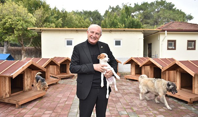 Kepez'de sokak hayvanlarına sıcacık yuvalar