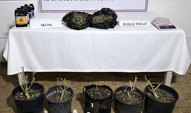 Aksu'da serada uyuşturucu üretimine operasyon