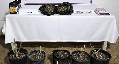 Aksu'da serada uyuşturucu üretimine operasyon