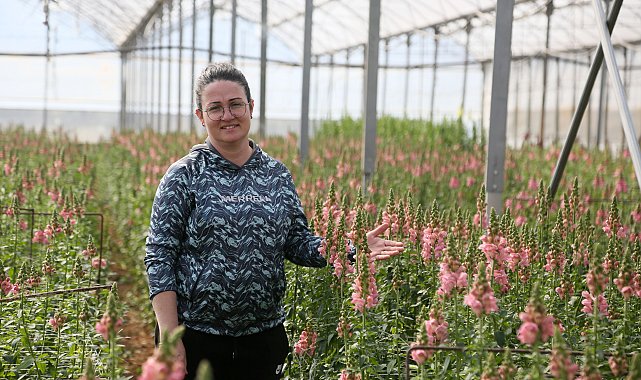 Antalya'dan Avrupa'ya yeni çiçek: Aslanağzı