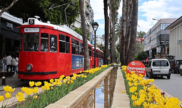 Baharın müjdecisi laleler Antalya sokaklarını renklendirdi