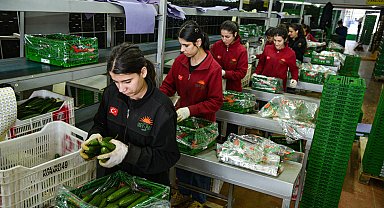 İran savaşı sonrası Türkiye'den Rusya'ya sebze ihracatı arttı