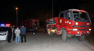 Orman yangını büyümeden söndürüldü