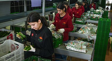 Türkiye'nin sebze tüketiminin yarısını karşılayan Antalya Hali'nden 64 ülkeye ihracat