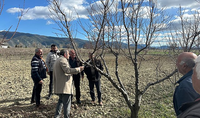 Üreticilere budama eğitimi