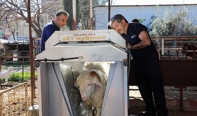 Verim artıyor, hastalık riski azalıyor