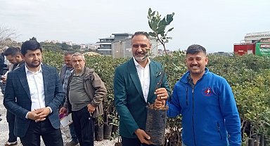 5 bin keçiboynuzu fidanı üreticilerle buluşturuldu