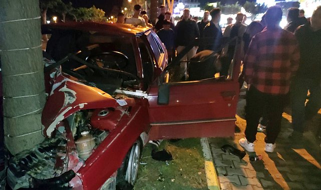 Ağaca çarpan otomobilin sürücüsü ağır yaralandı