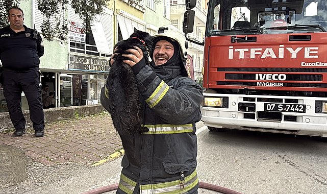 Kalp masajıyla kediyi yaşama bağlayan itfaiye erinin mutluluğu