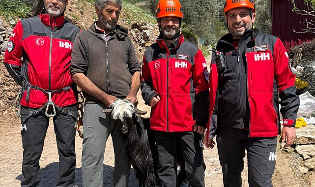 Kayalıkta mahsur kalan keçiler kurtarıldı