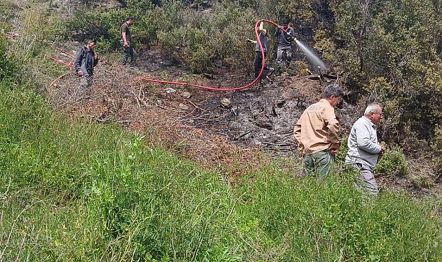 Makilik yangını büyümeden söndürüldü