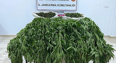 Serik'te uyuşturucu operasyonu: 1 tutuklu